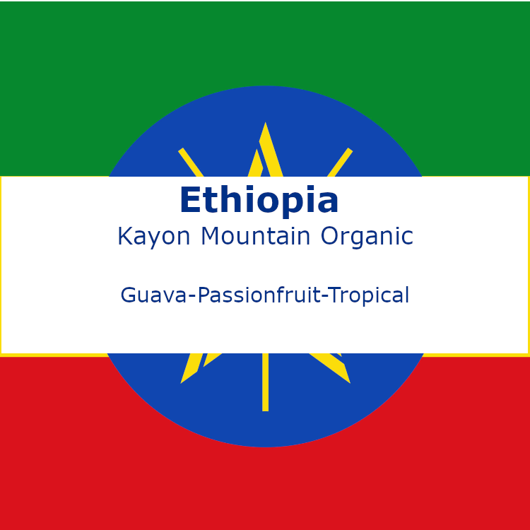 Ethiopia Kayon Mountain Organic