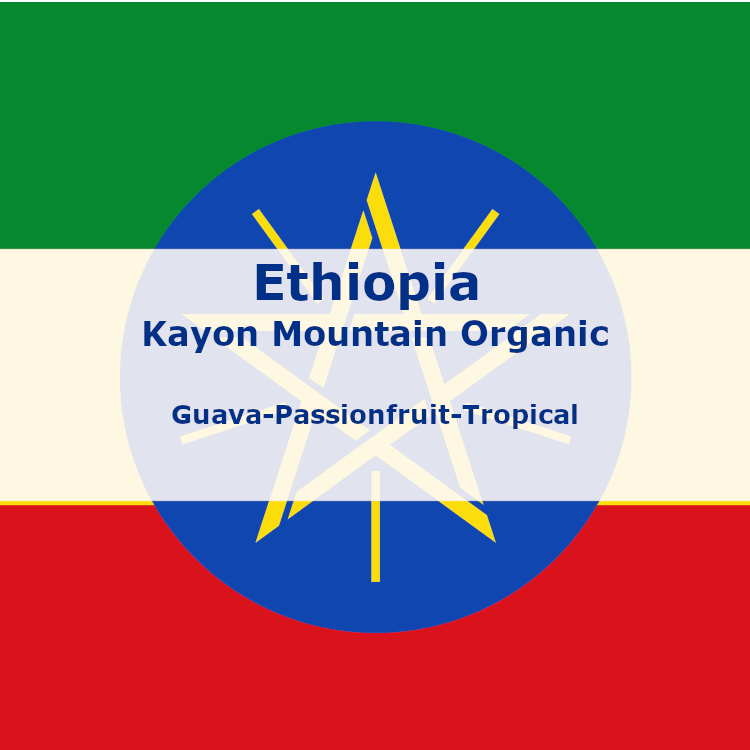 Ethiopia Kayon Mountain Taaroo (Fresh Frozen Favorite)