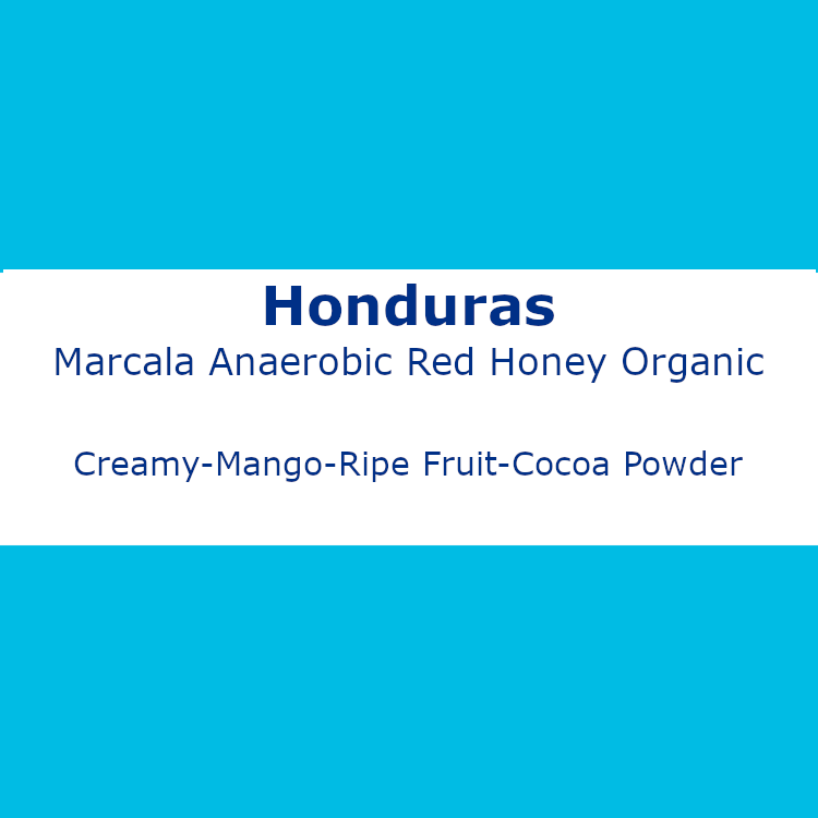 Honduras Marcala Anaerobic Red Honey Organic