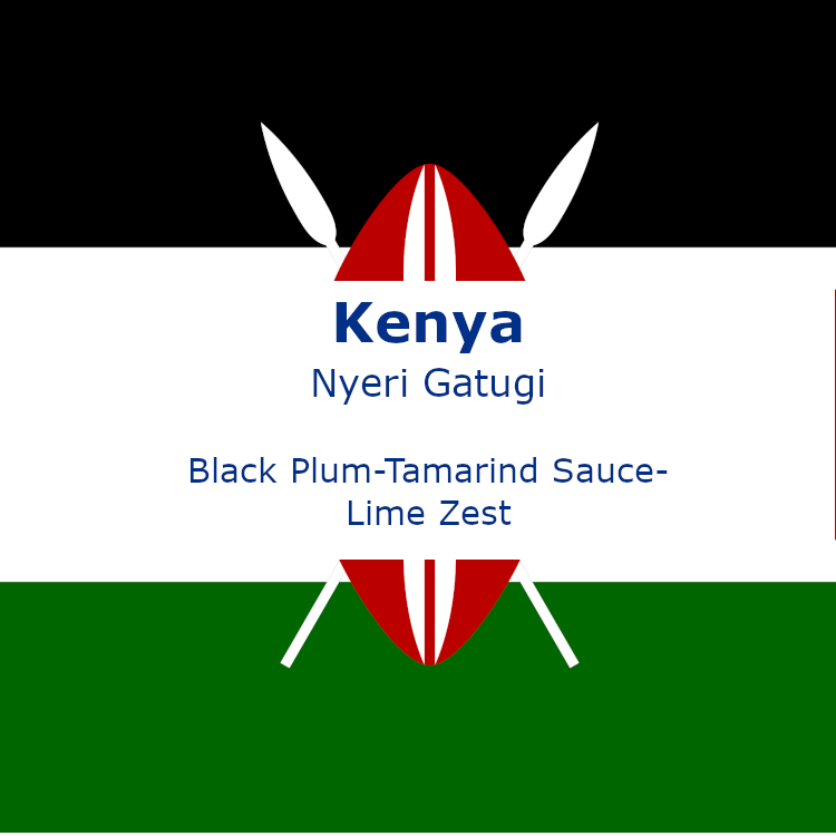 Kenya Nyeri Gatugi AB