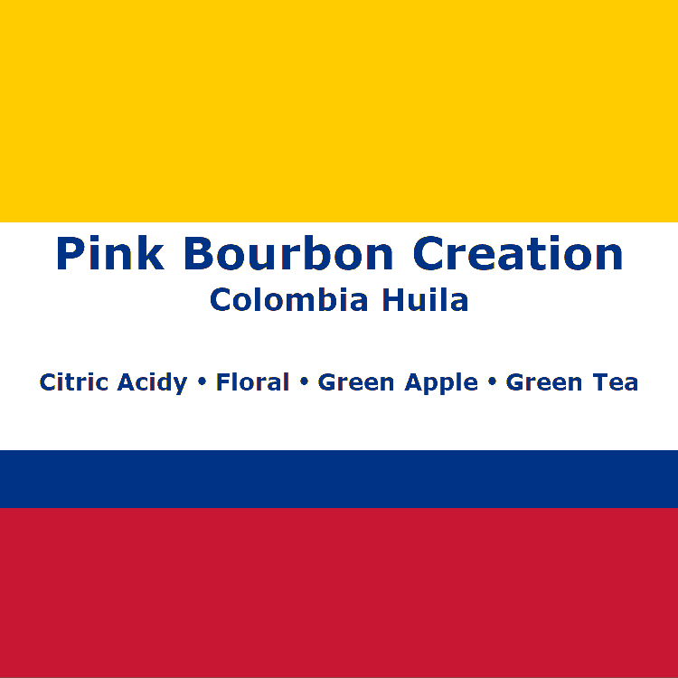 Colombia Pink Bourbon Creation
