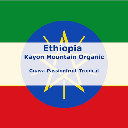 Ethiopia Kayon Mountain Taaroo (Fresh Frozen Favorite)