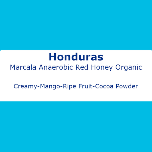 Honduras Marcala Anaerobic Red Honey Organic