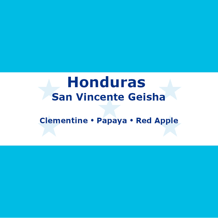 Honduras San Vincente Geisha