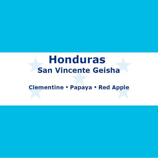 Honduras San Vincente Geisha