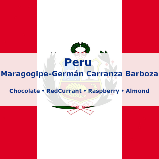Peru Maragogipe Washed - Germán Carranza Barboza