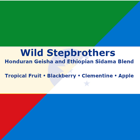 Wild Stepbrothers
