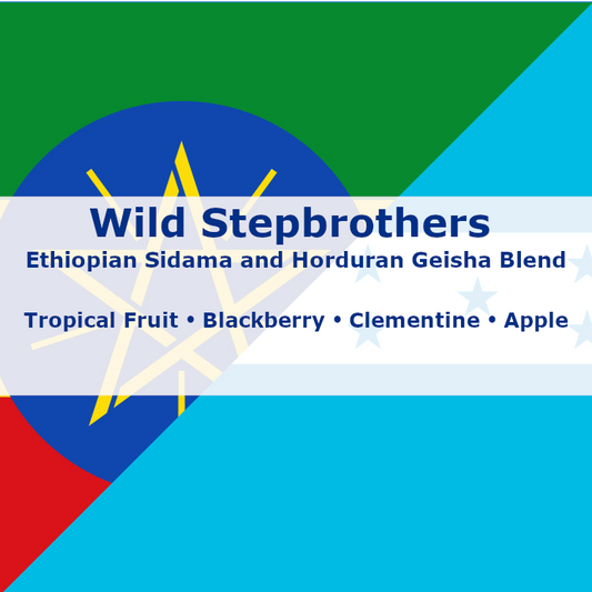 Wild Stepbrothers
